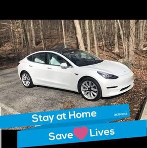 Meet your Posher, Teddy